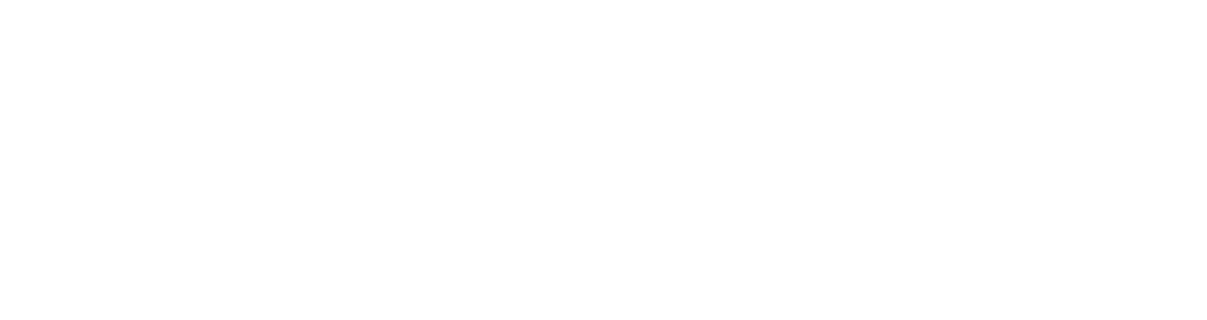 KINGSGUARD